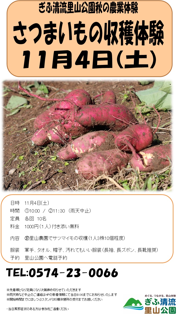 さつまいもの収穫体験 チラシ