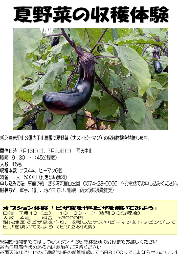 夏野菜の収穫体験　ぎふ清流里山公園内里山農園で夏野菜（ナス・ピーマン）の収穫体験を開催します。［日時］7月13日（土）、7月20日（土） 9:30から45分程度（雨天中止）［参加料］1人500円（付き添い無料、定員15名）［申し込み方法］事前予約 ぎふ清流里山公園 0574-23-0066 へお電話でお申し込みください。［服装など］軍手、帽子、汚れてもいい服装（雨天後は長靴推奨）［オプション体験］「ピザ窯を作りピザを焼いてみよう」［日時］7月13日（土）10:30〜（1時間30分程度）［人数］4組［料金］プラス3,000円　耐火煉瓦でピザ窯を作り、収穫したナスやピーマンをトッピングしてピザを焼いてみよう（ピザ2枚試食）　※開始時間までにほしつぶスタンド（35）横の休憩所の受付までお越しください　※当日風邪症状のある方は参加をご遠慮ください　※雨天時など中止のご連絡はホームページの新着情報にて当日8:00までにお知らせいたします