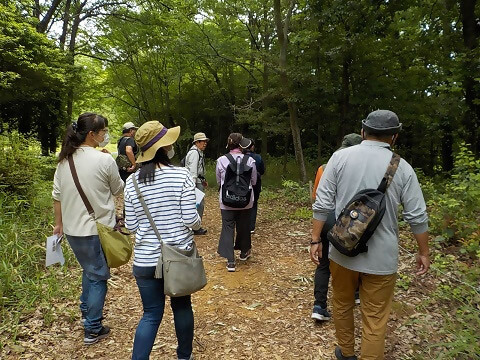春の自然観察会 イメージ
