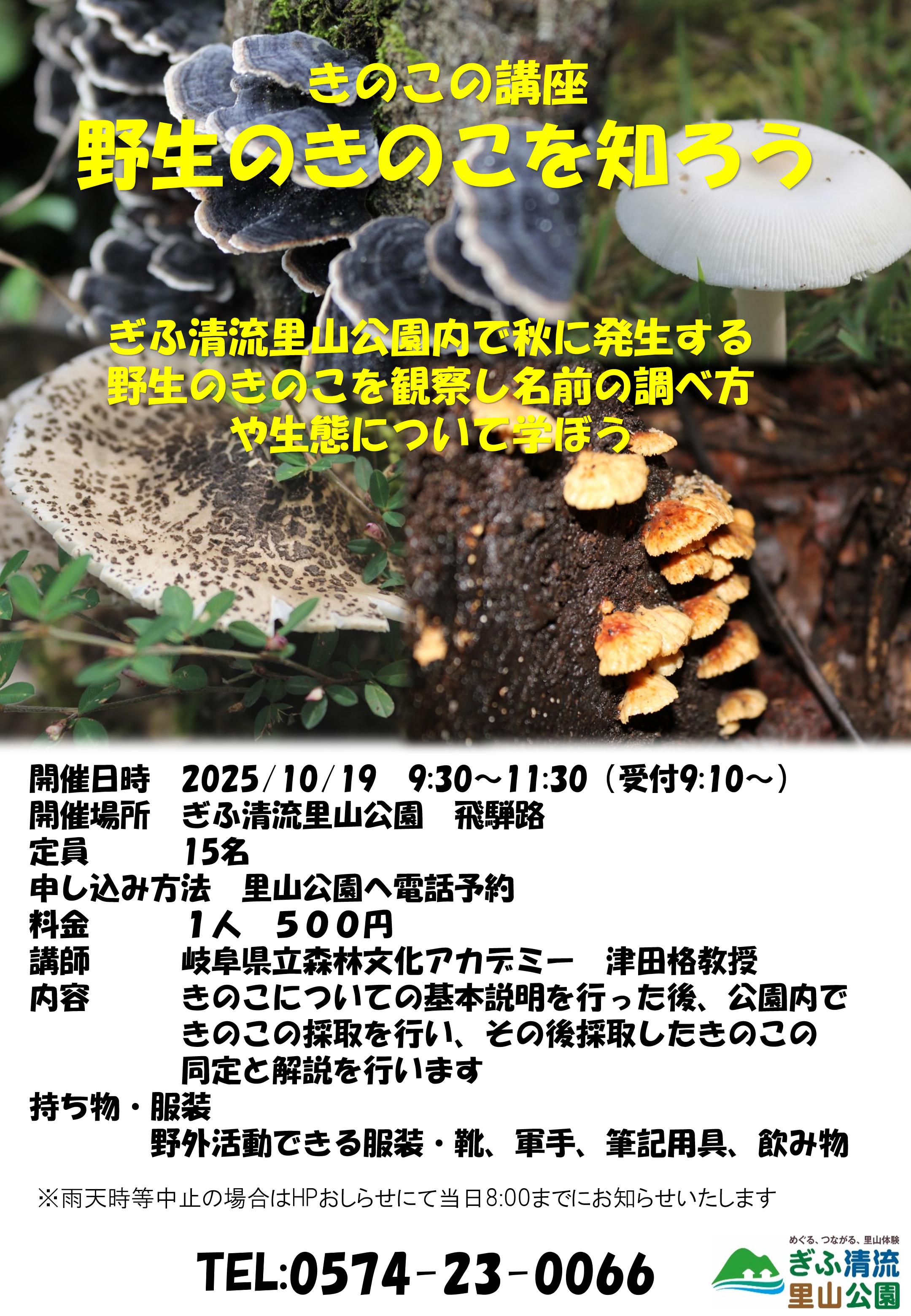 きのこ講座 野生のきのこを知ろう | イベント | ぎふ清流里山公園
