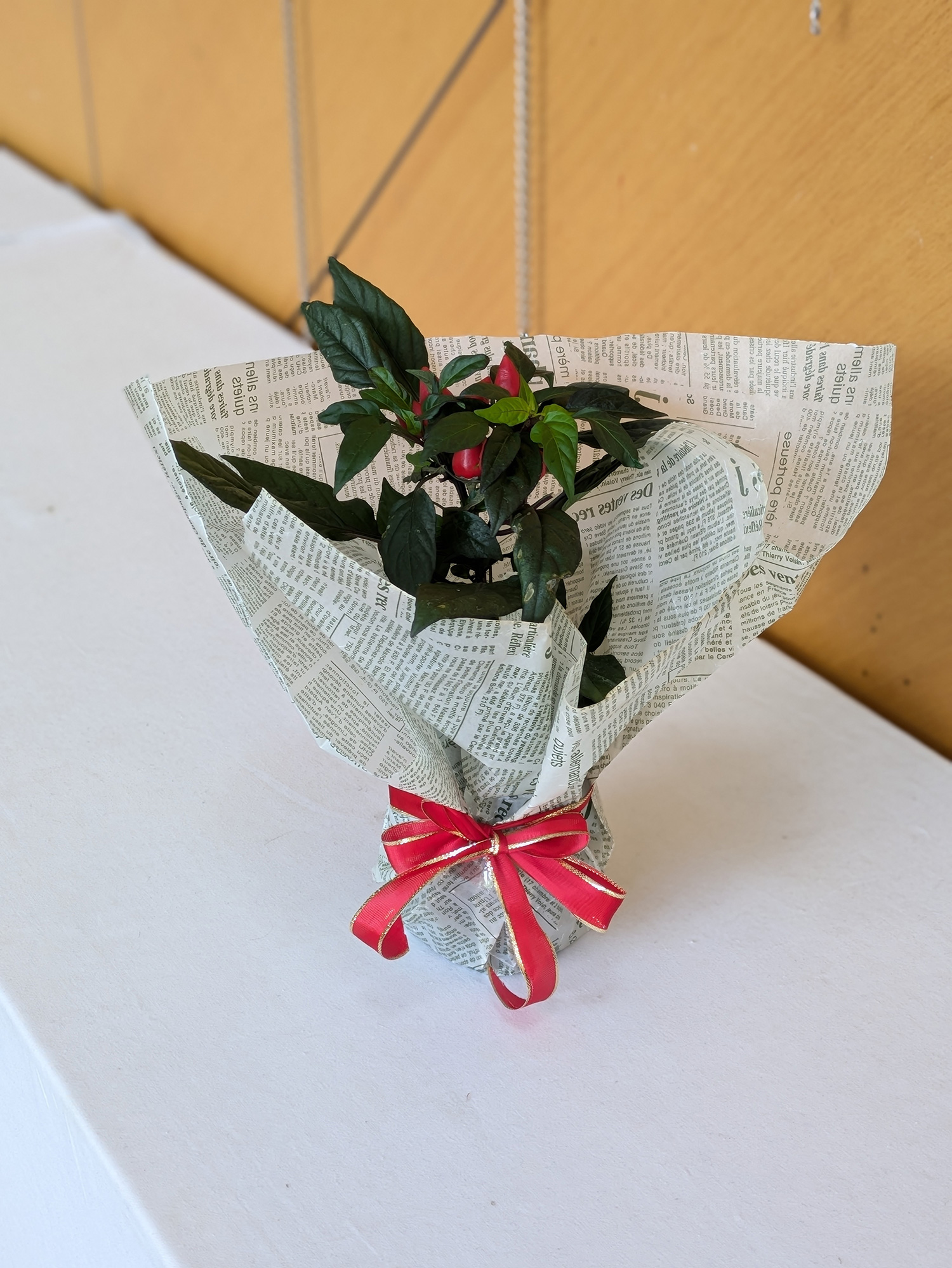 花鉢ラッピング