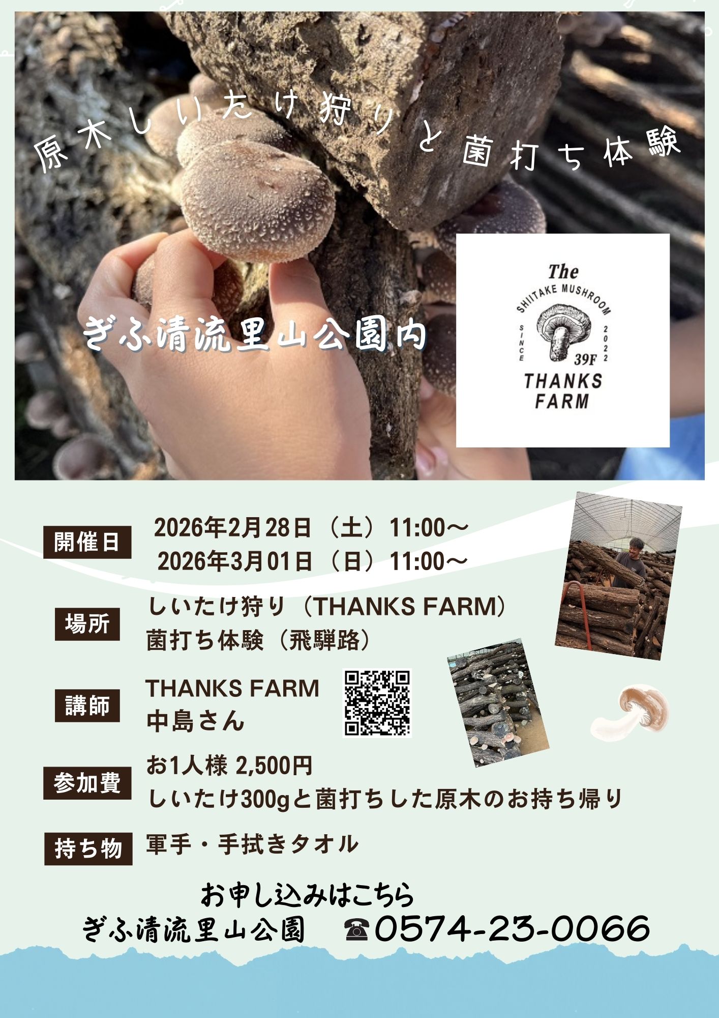 しいたけ狩りと菌打ち体験